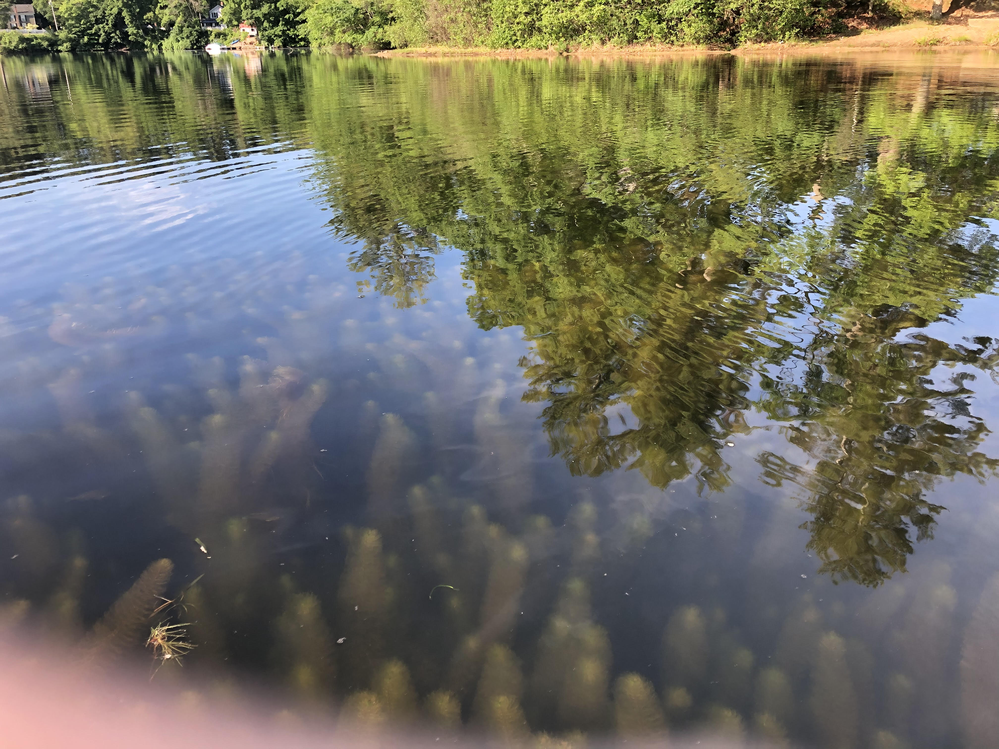 lake