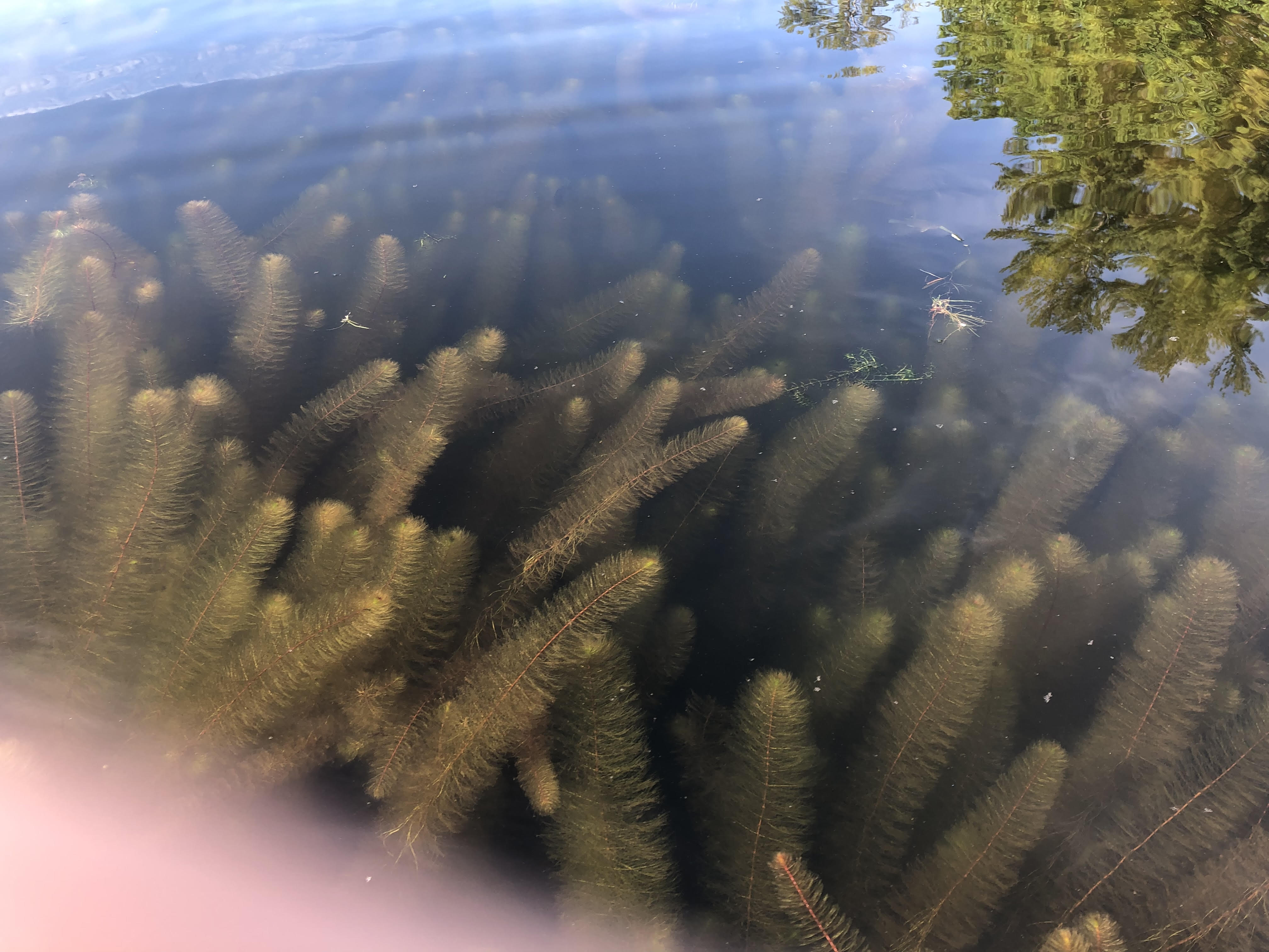 lake