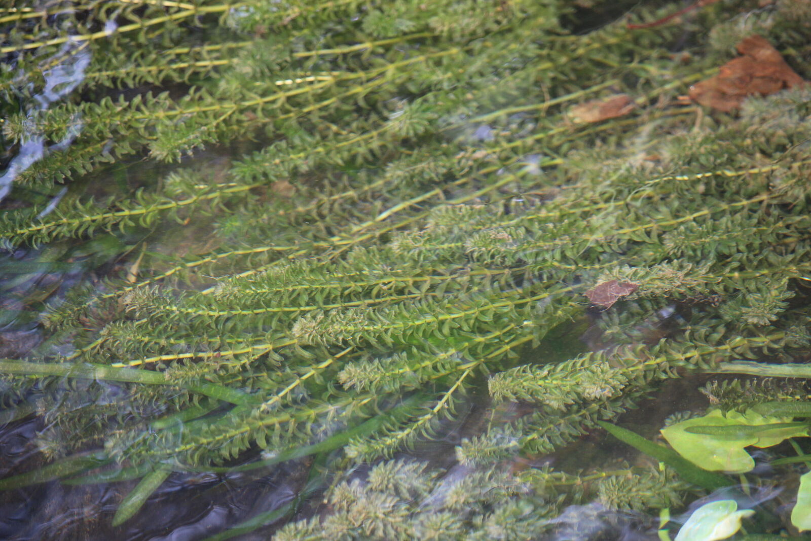 lake